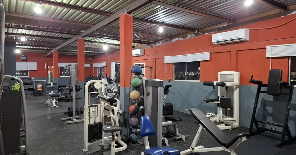 gym Bestias de hierro