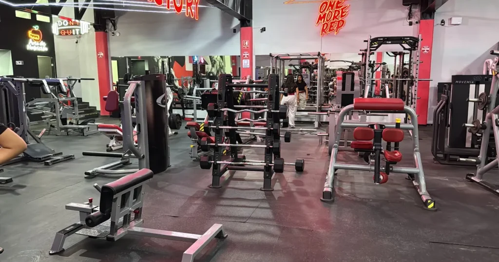 MF GYM CLUB