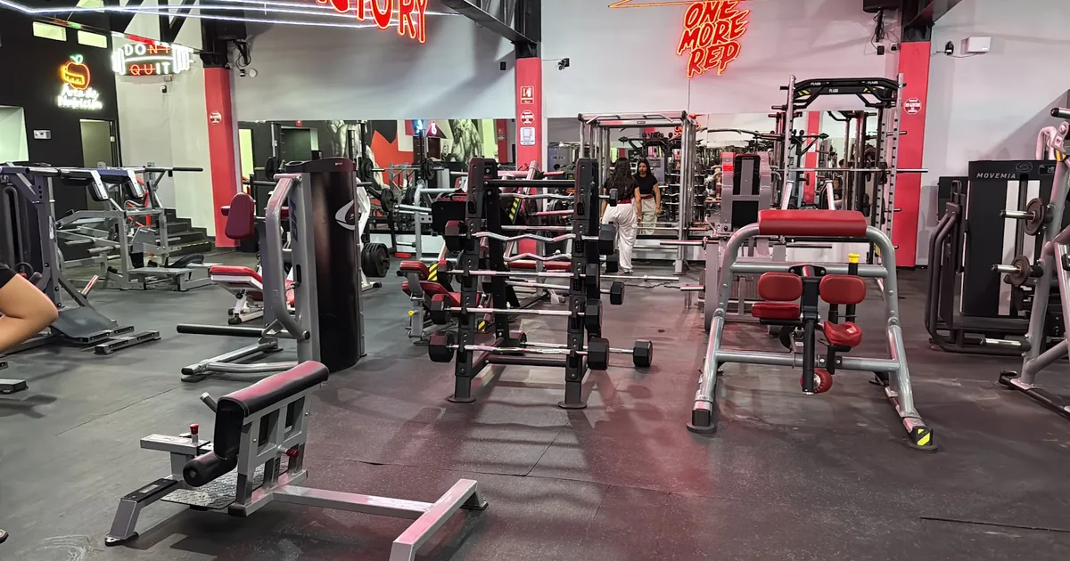 MF GYM CLUB