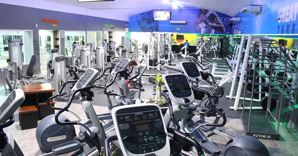 Alfa Fitness