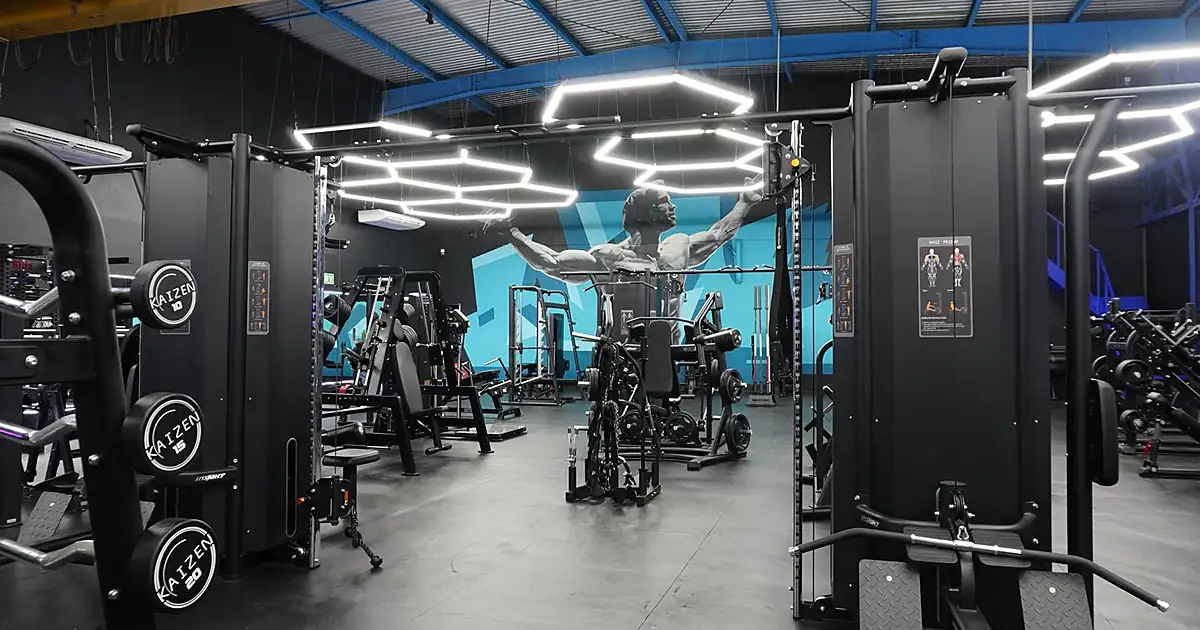 GLOBAL FIT