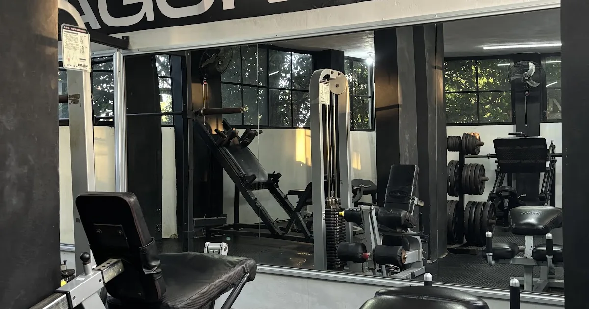 DRAGON GYM