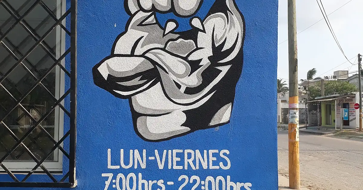Bulldog’s Gym 2 Las Flores