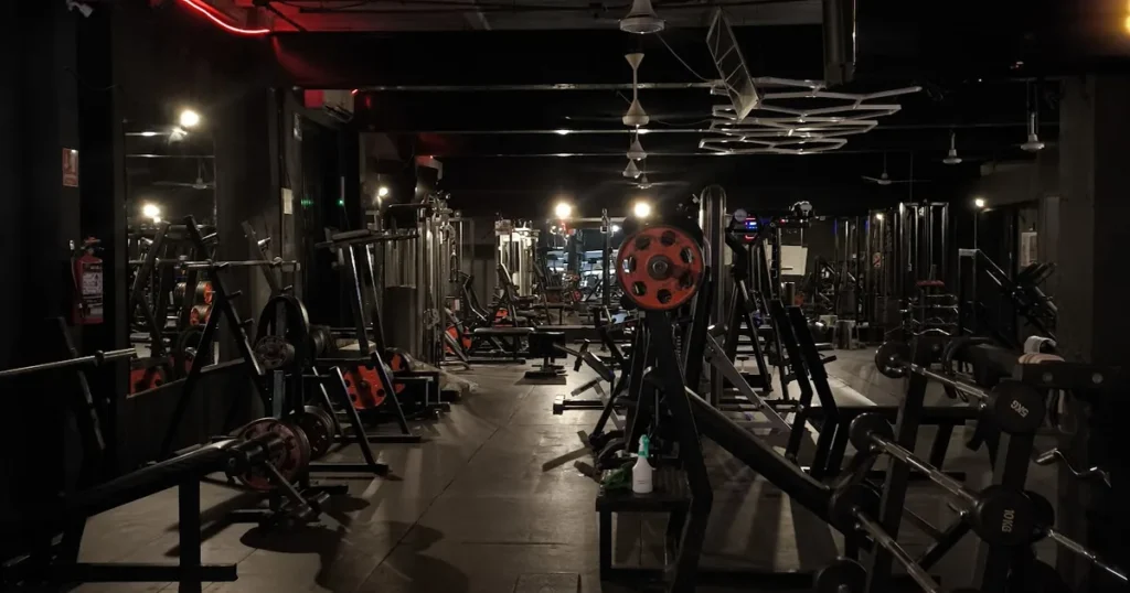 Animal Gym