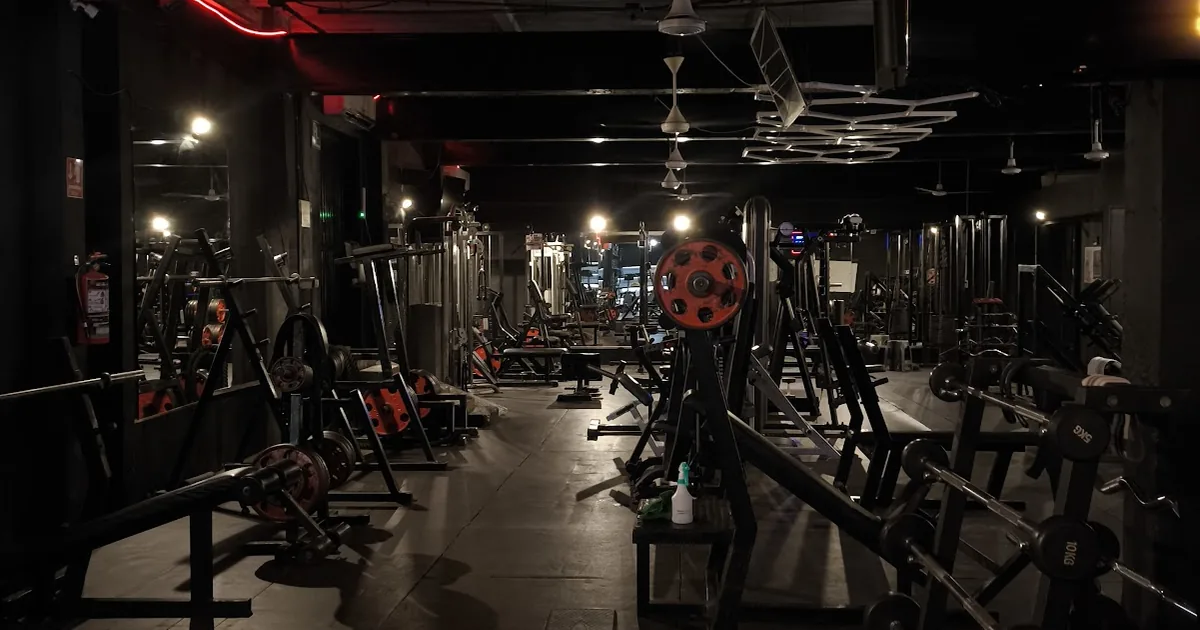Animal Gym