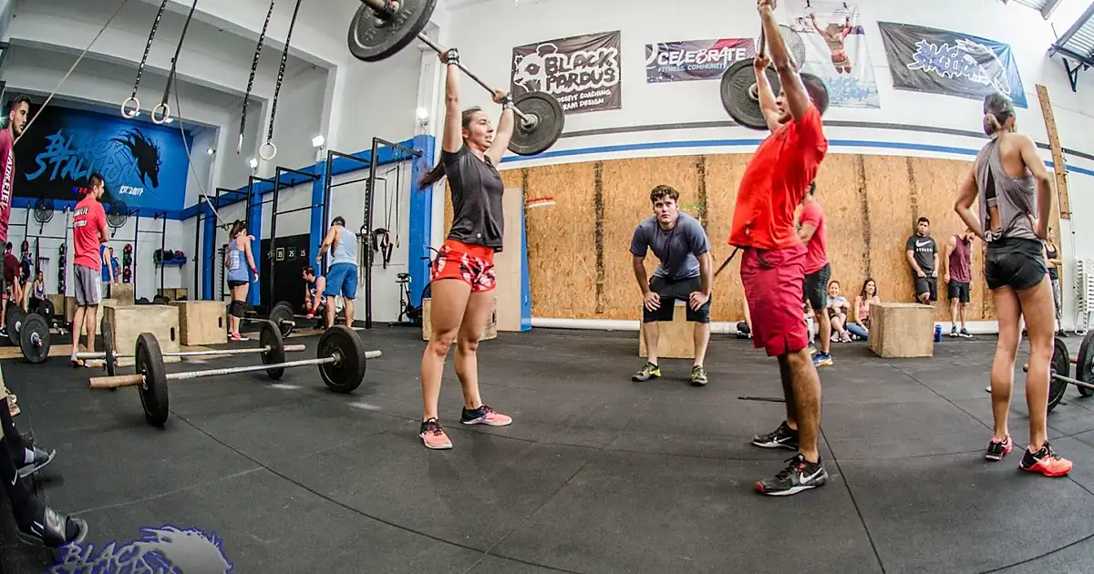 Crossfit BLACK STALLION