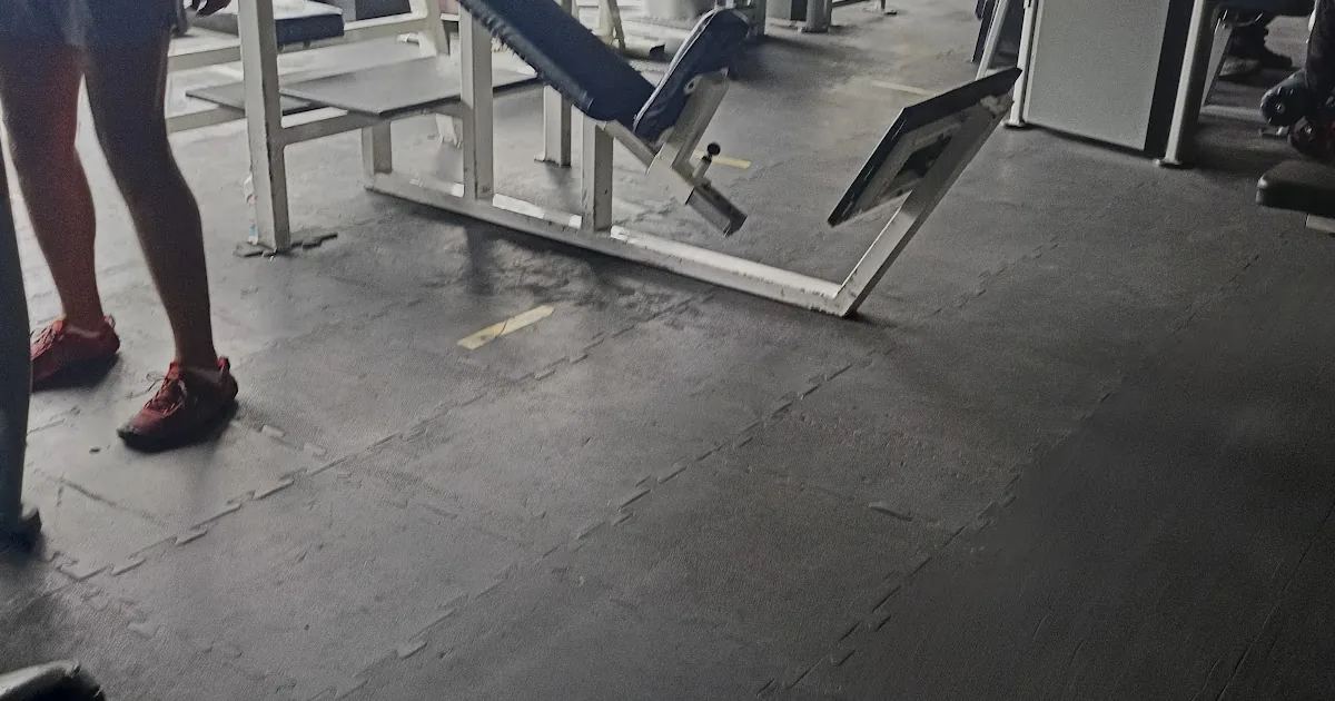 Muscle Factory Gym