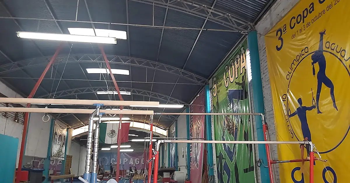 GOA GIMNASIA OLIMPICA DE AGUASCALIENTES