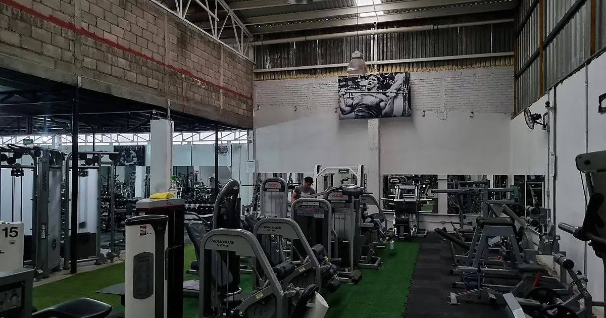 Promuscle Gym (gimnasio en Aguascalientes)