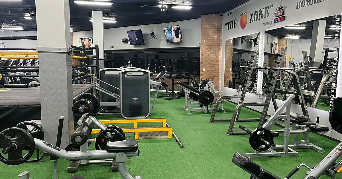 LVDVS GYM