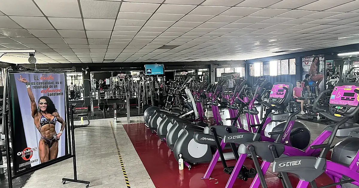 OLYMPUS GYM Aguascalientes