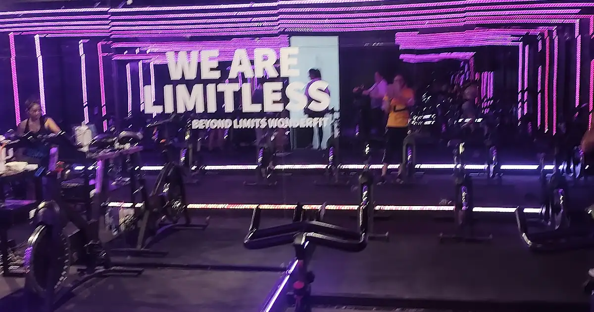 Wonder Fit