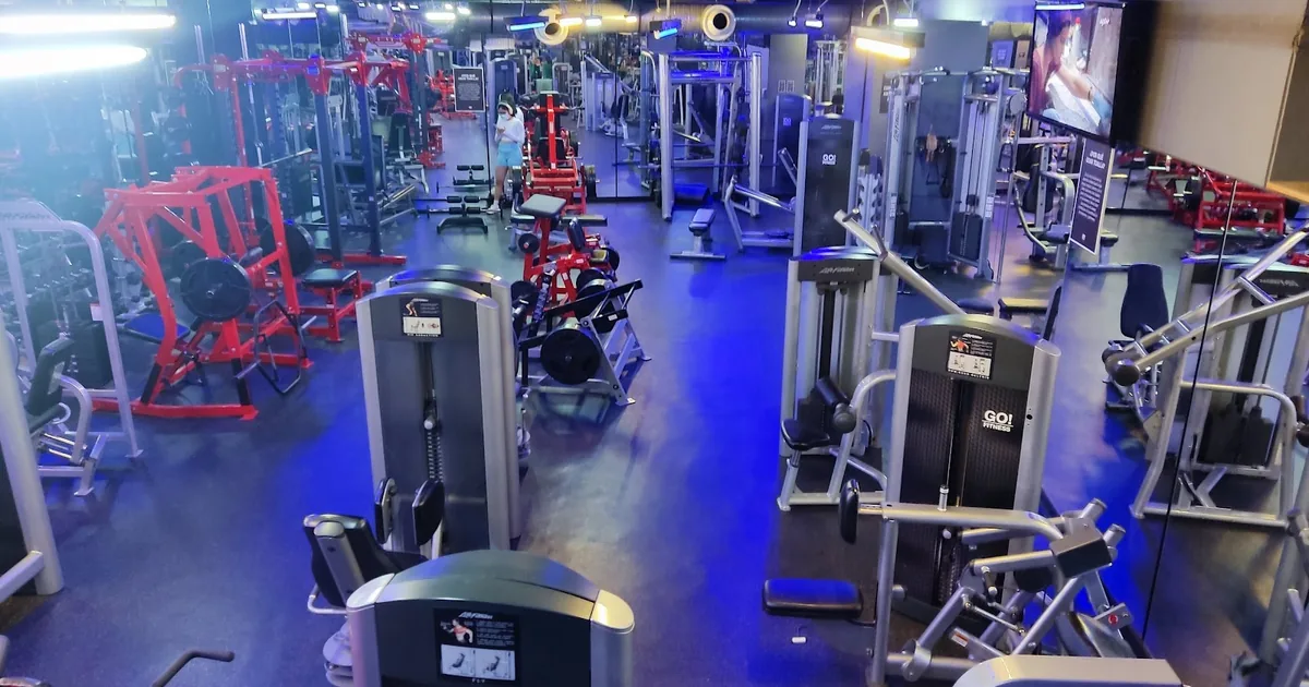 Go Fitness Altavista