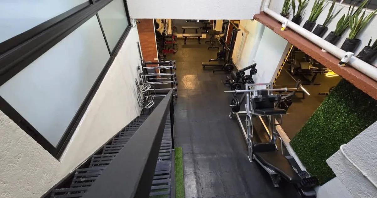 Alex Gym