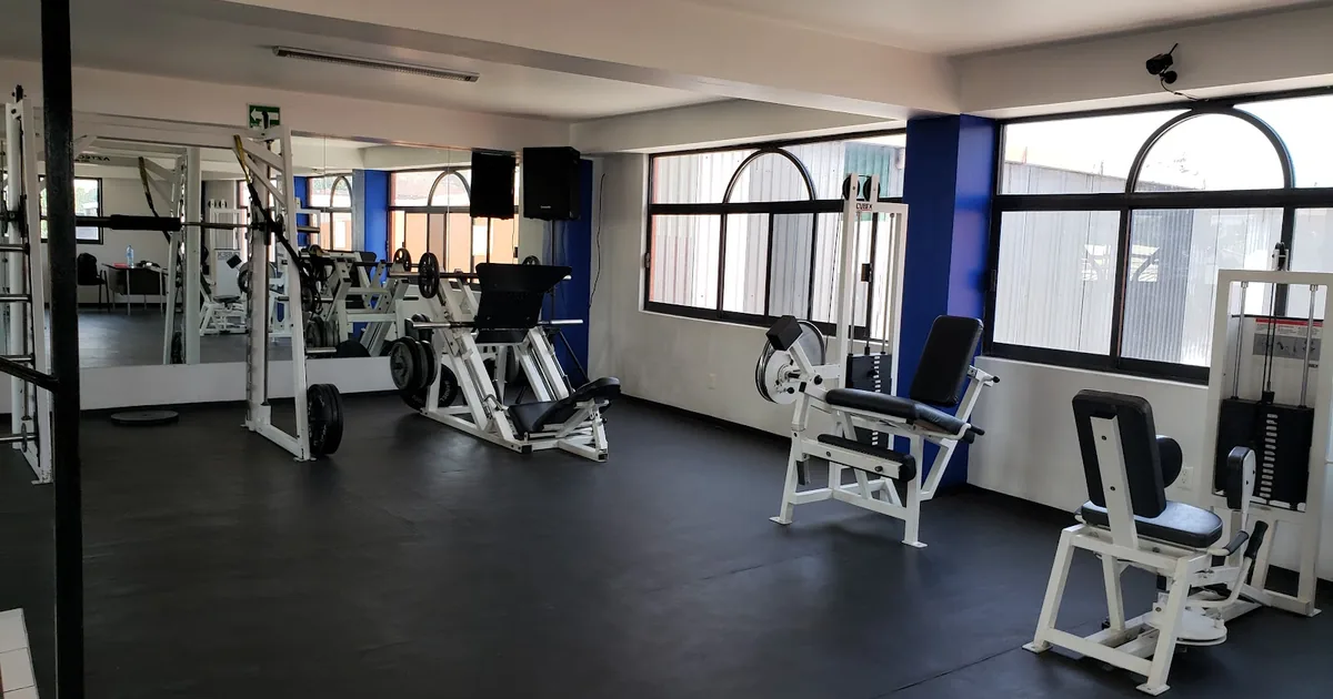 Palace Gym, S.A. de C.V.