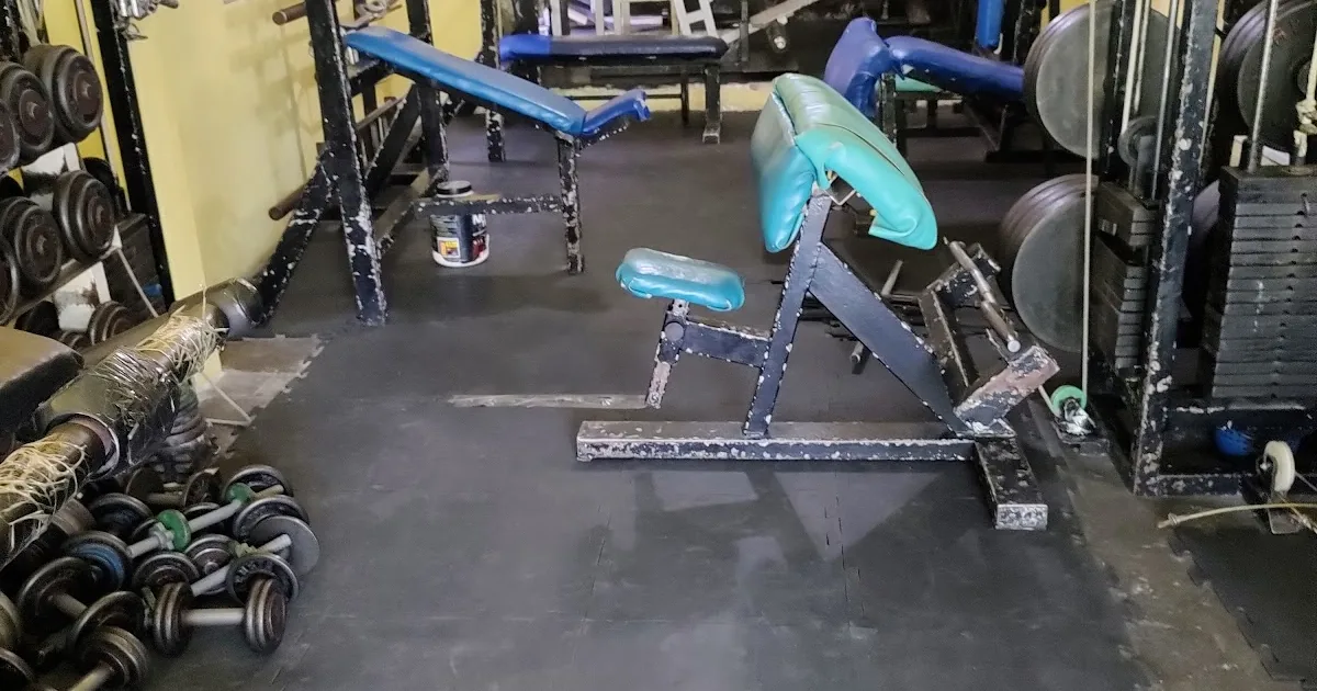 New Body Gym