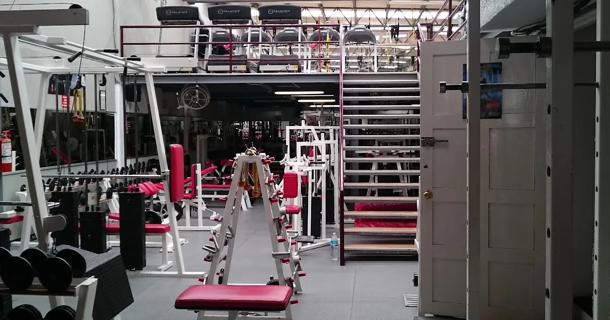 VIKINGˋS GYM NARVARTE