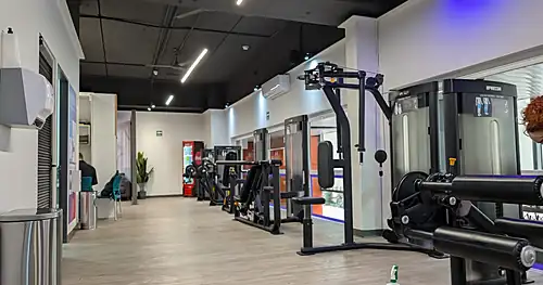 Anytime Fitness Coyoacán Centro, gimnasio en Coyoacán, Ciudad de México