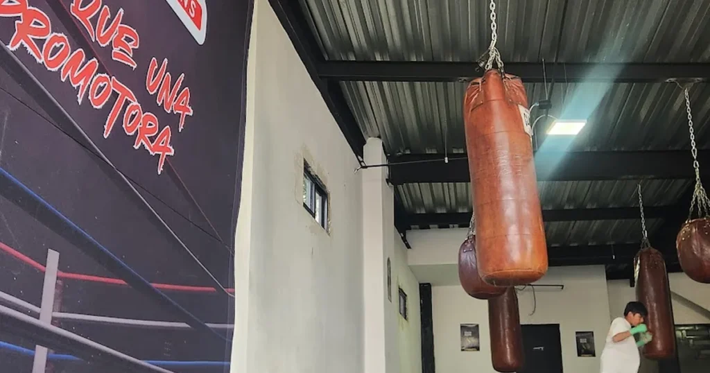 HOLKAN BOXING
