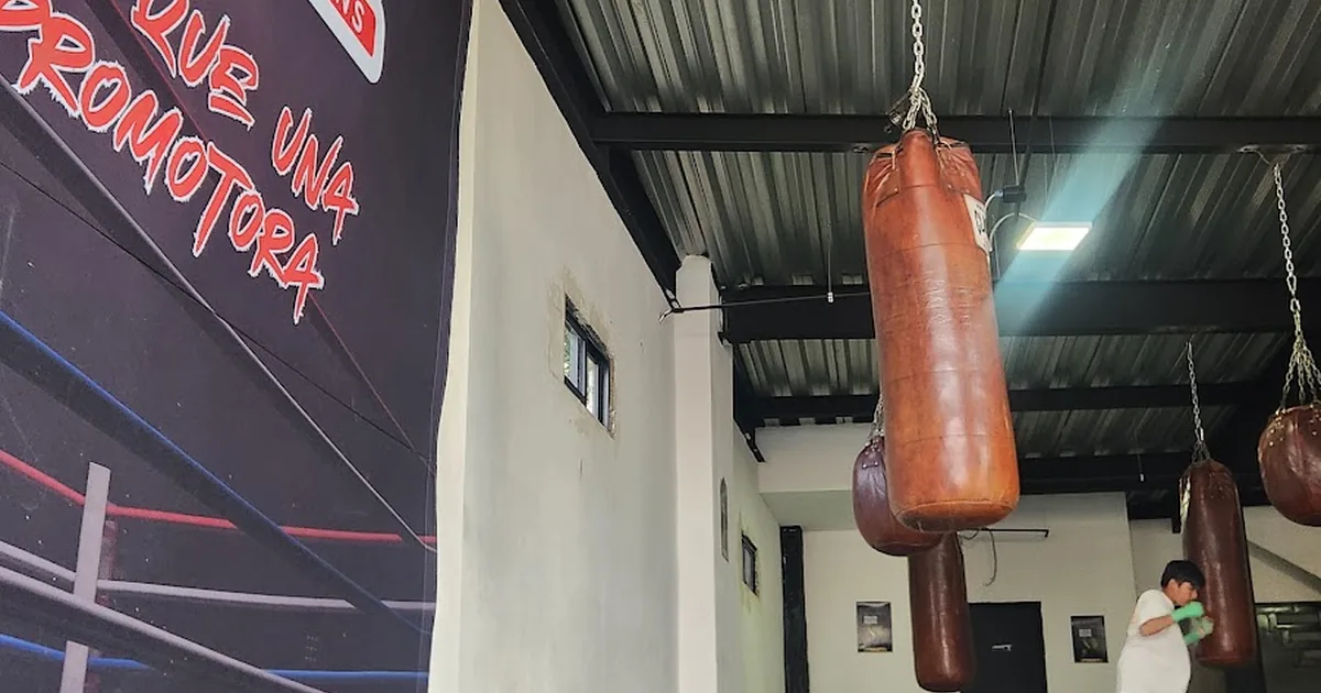 HOLKAN BOXING