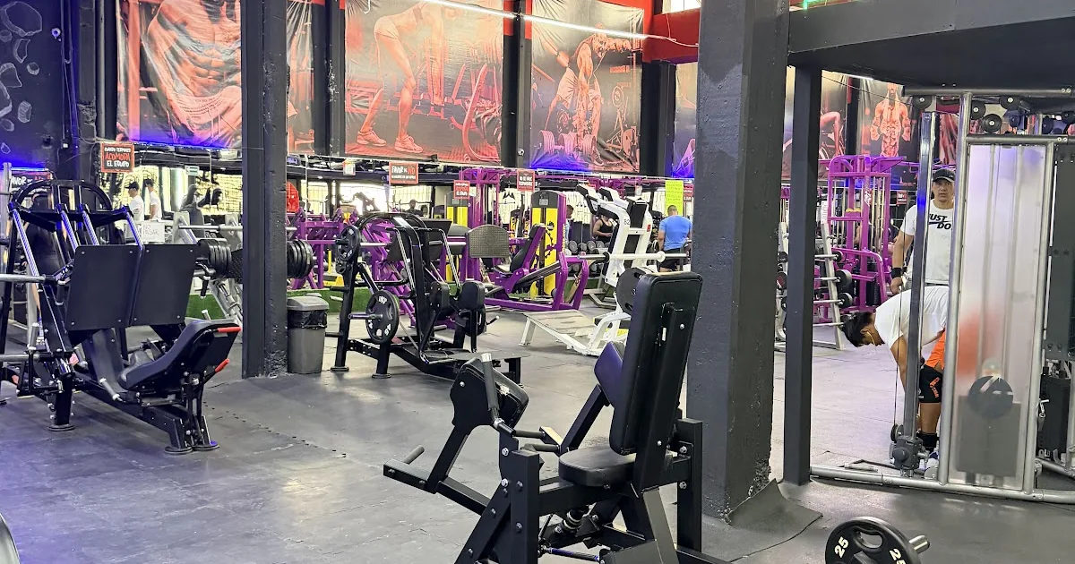 Arnol’s Gym