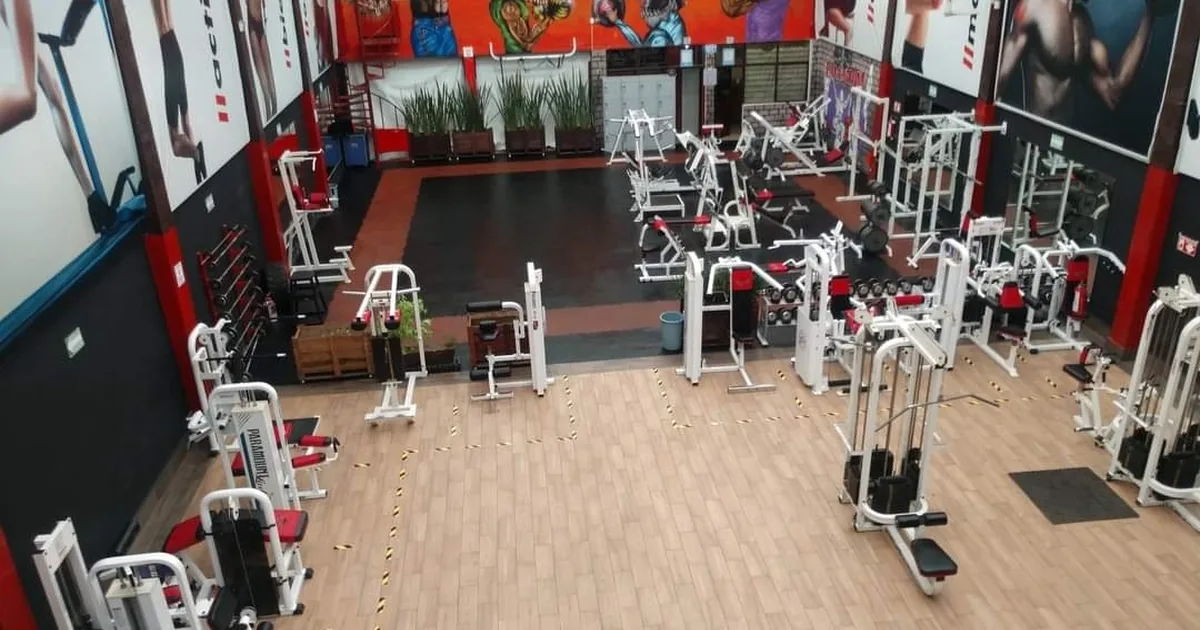 Crossgym Palladium