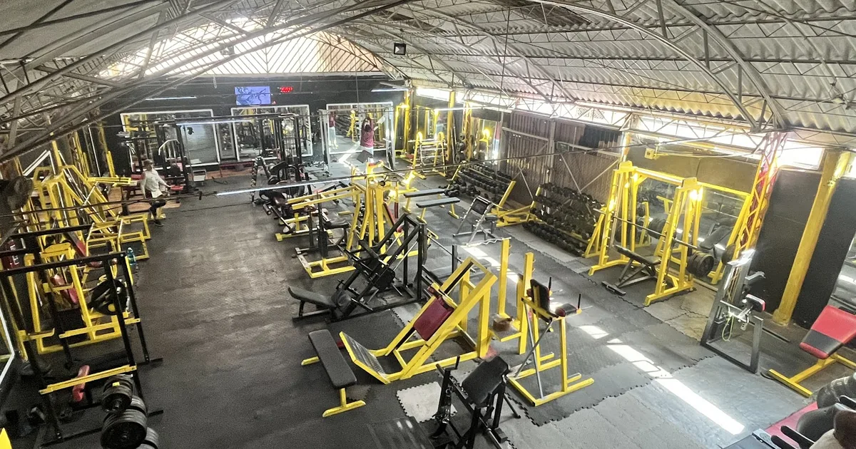Ludus Gym