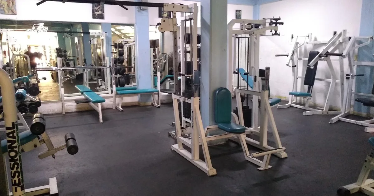 GIMNASIO MIXTO GORILAS