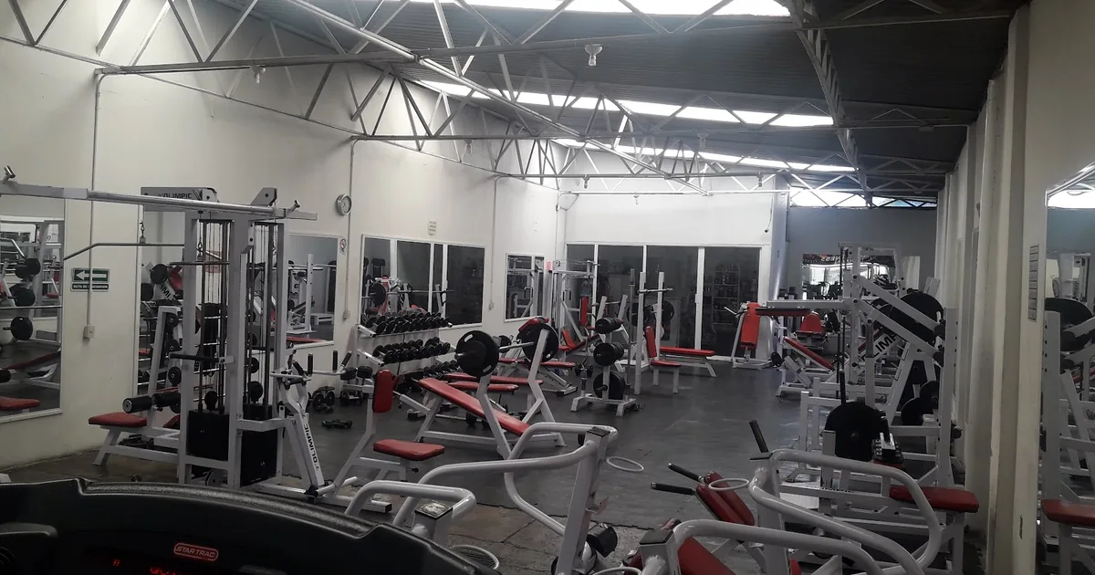 GIMNASIO FITNESS