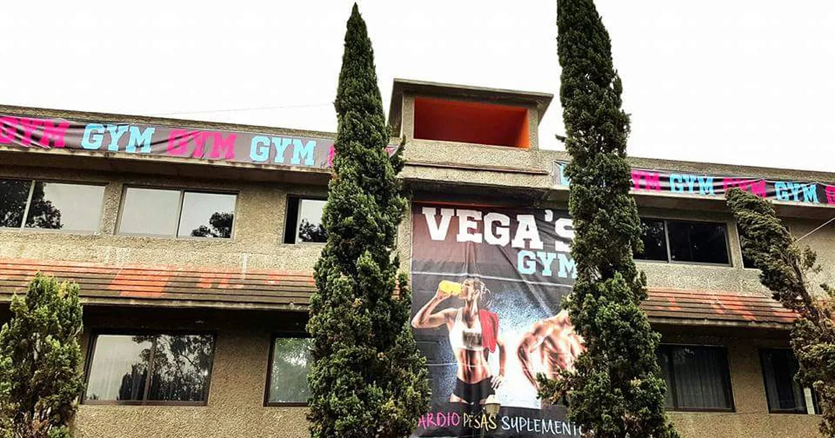 Vega’s Gym