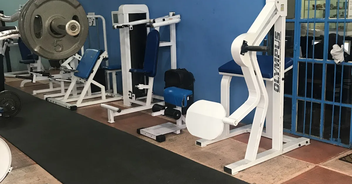 Zumer Gym