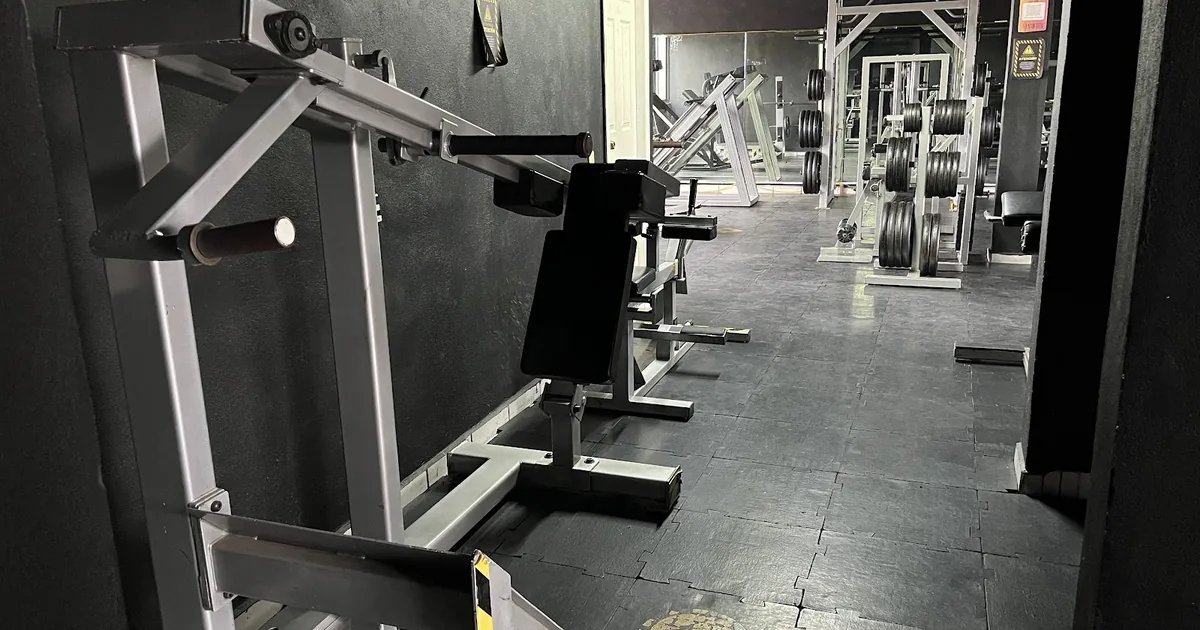 Vikngs GYM Iztapalapa