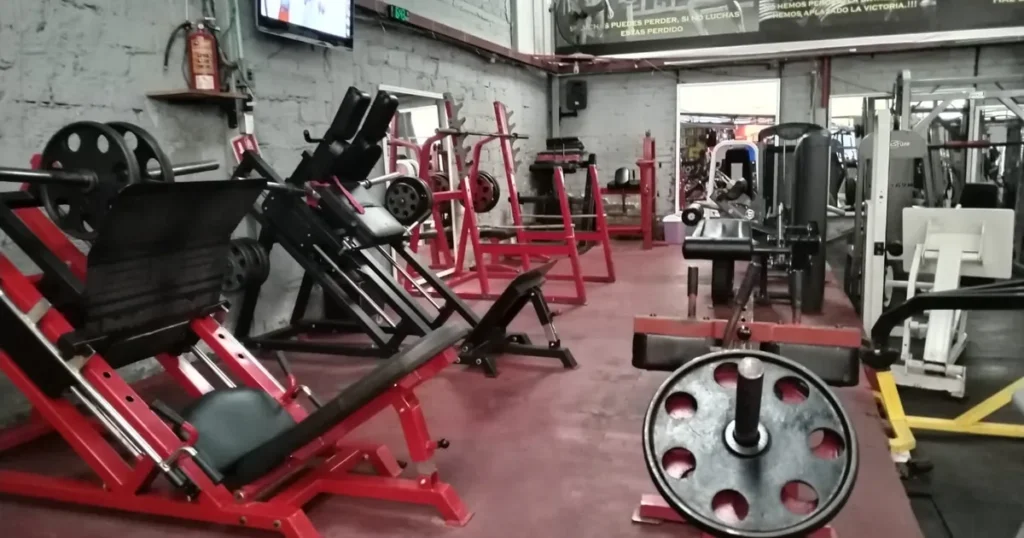 Gimnasio Stor