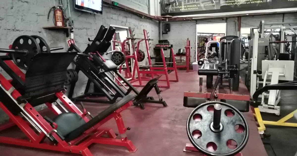 Gimnasio Stor