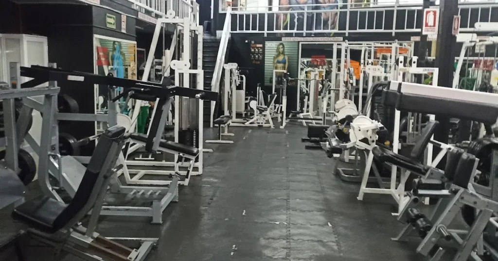 GLUO GYM