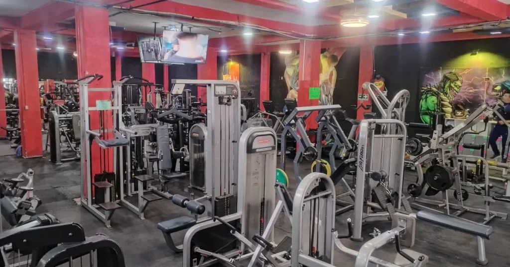 Reptil físic gym