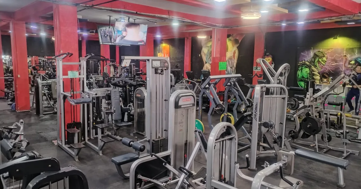 Reptil físic gym