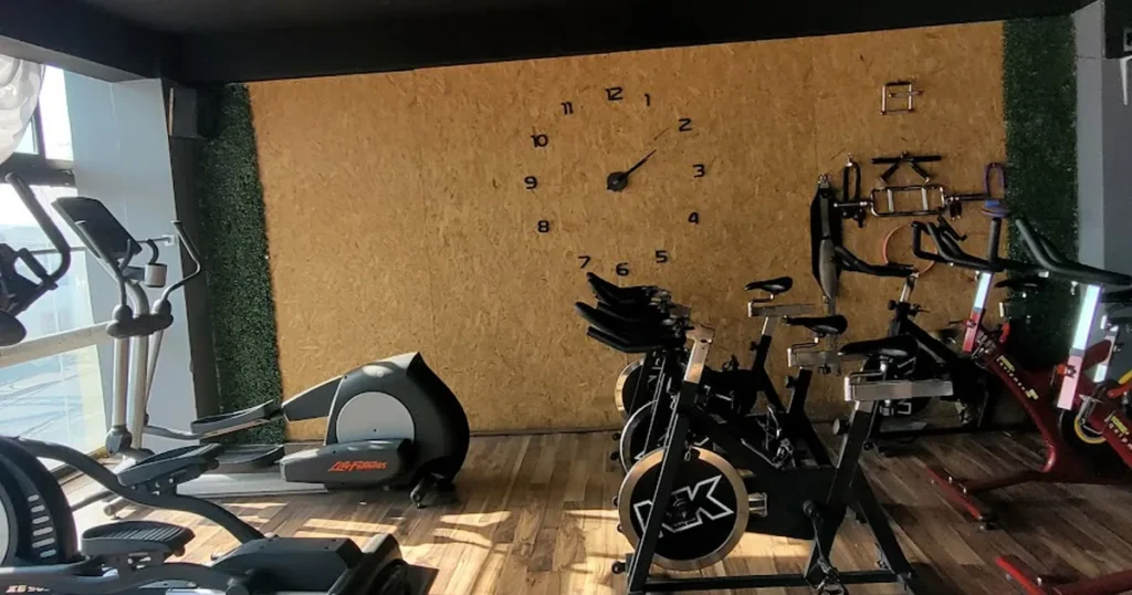 Fitness Gym 201