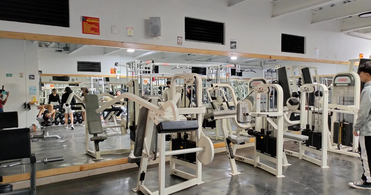 Gimnasio fitness x force