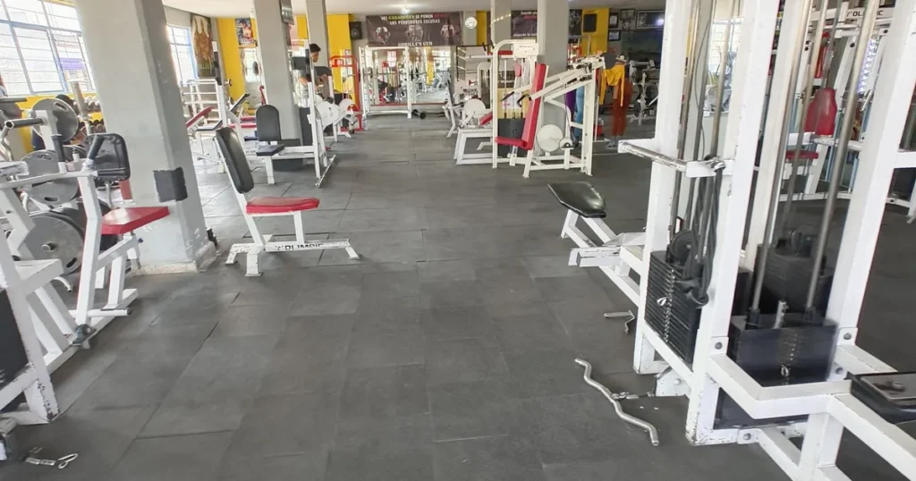 Gorilla’s gym