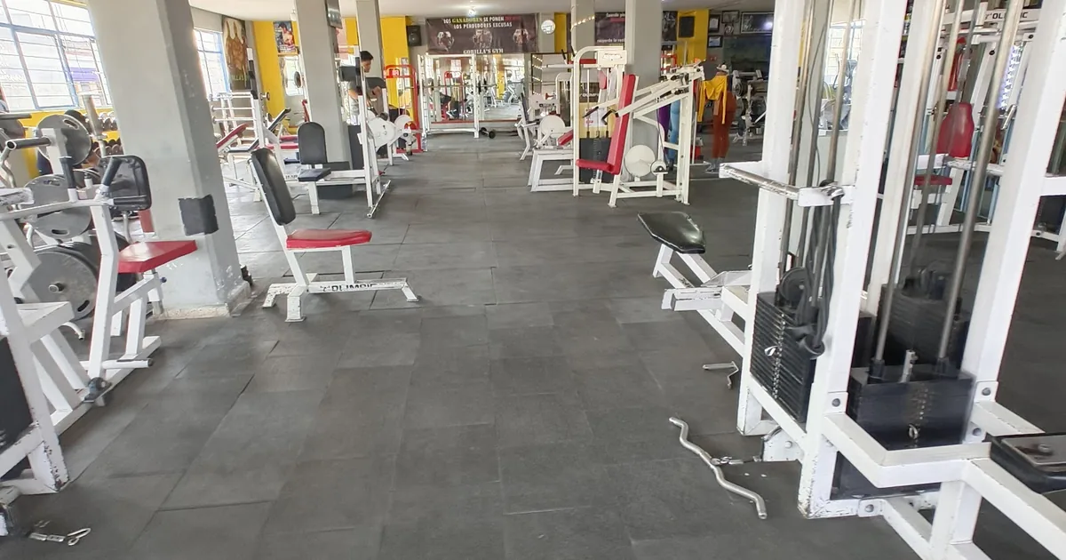 Gorilla’s gym