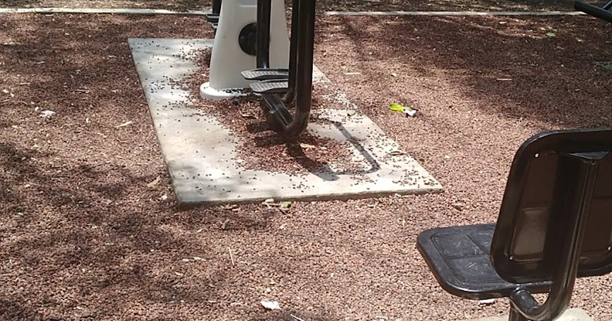 Gimnasio al aire libre iztacalco