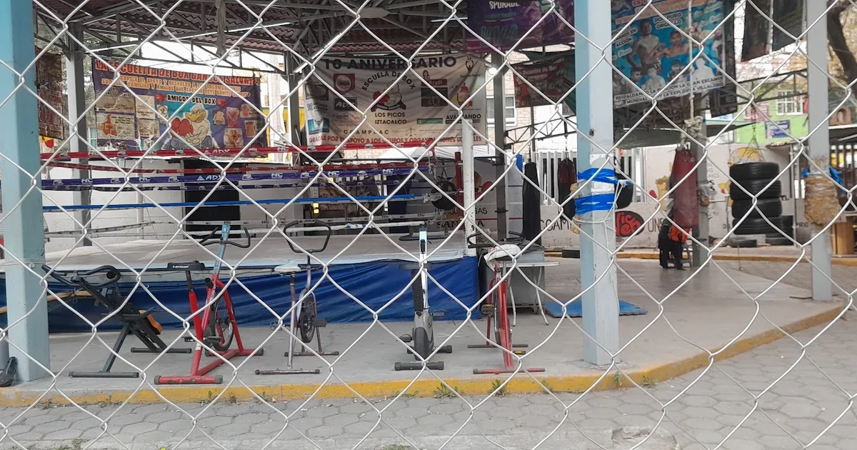 Gimnasio de Box Los Gansos Salvajes
