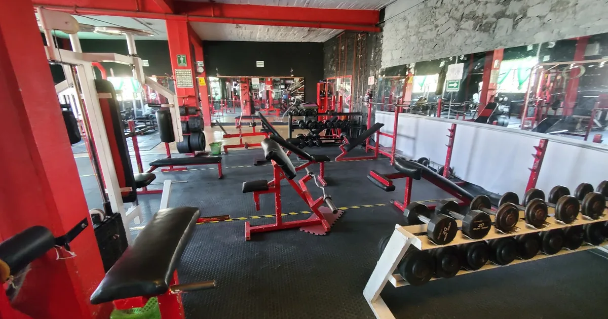 Narcissus Gym
