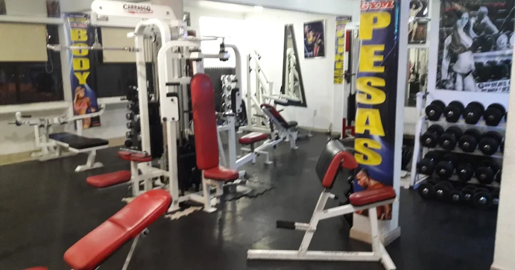 POWER BODY GYM CONTRERAS