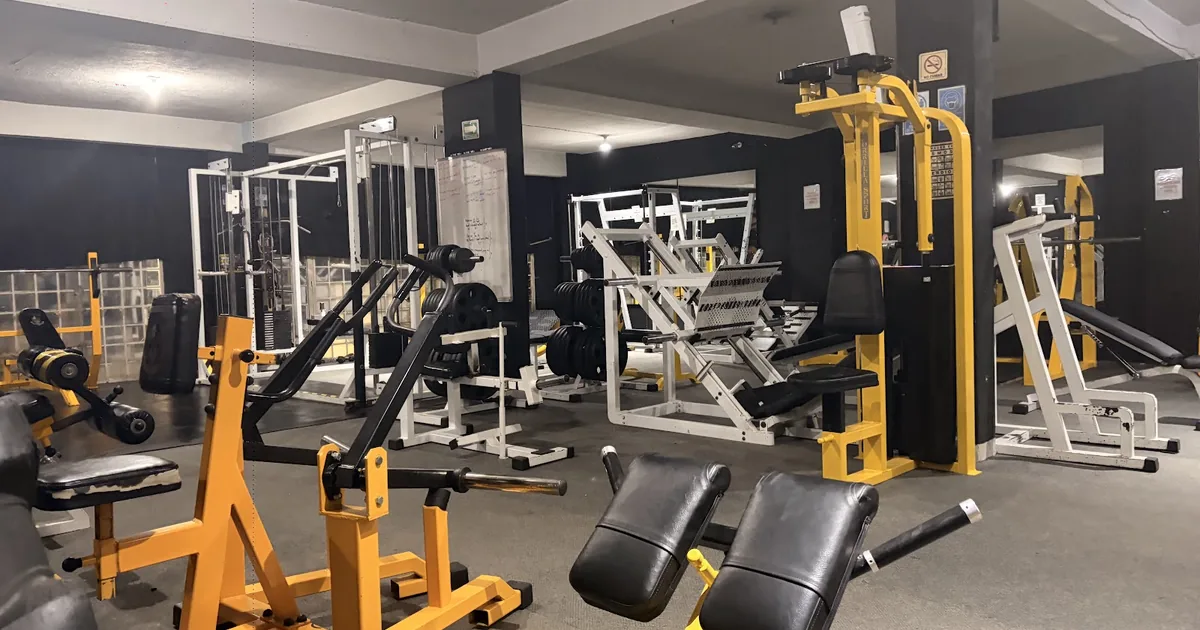 Lobos GYM