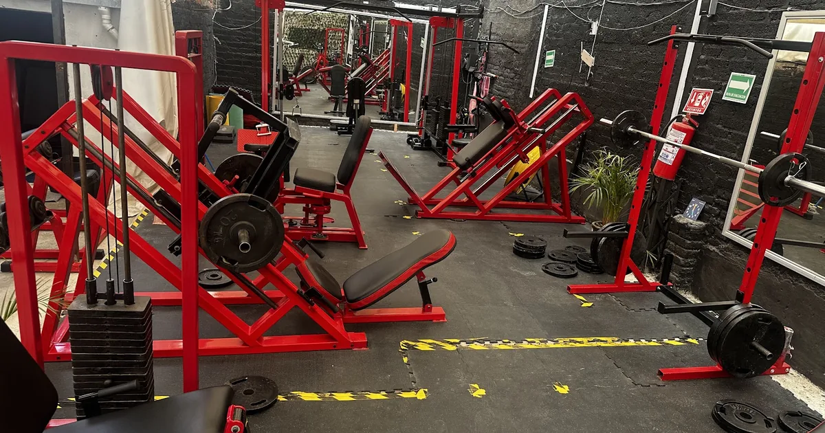 Olympus AC GYM