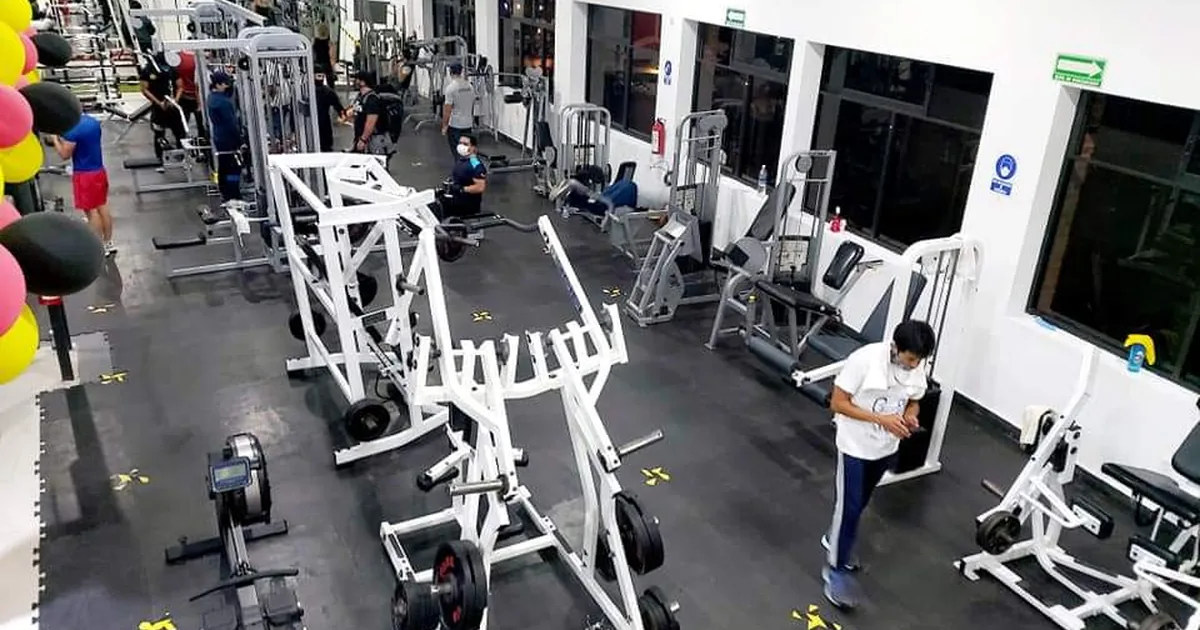 Mega Gym Fitness & Training CDMX