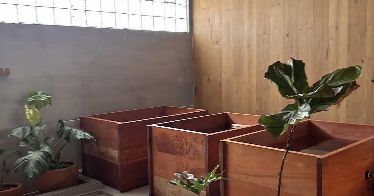 Koti Wellness Lomas de Chapultepec – Contrast Therapy | Sauna & Cold Plunge | Masajes