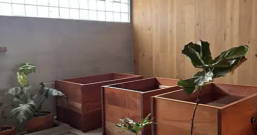 Koti Wellness Lomas de Chapultepec – Contrast Therapy | Sauna & Cold Plunge | Masajes, gimnasio en Miguel Hidalgo, Ciudad de México